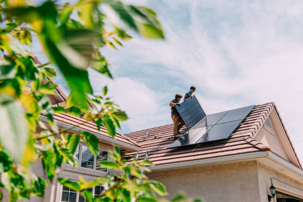 Best Roof Gutter Cleaning  in Evergreen Park, IL